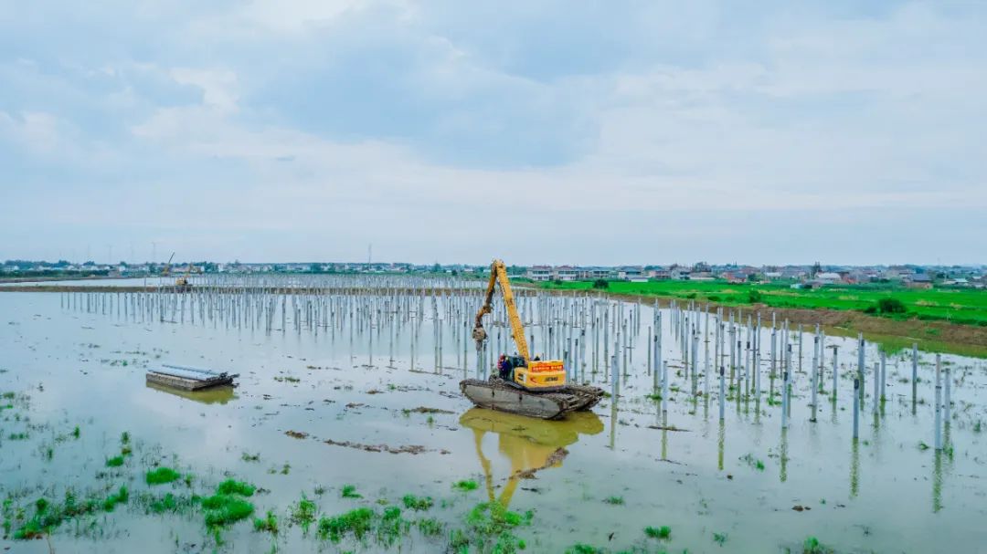Z6·人生就是博(中国区)官方网站